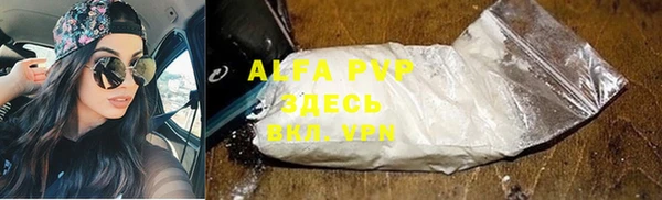 крисы Алзамай