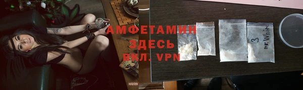 крисы Алзамай