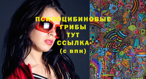 молекула духа Алексеевка
