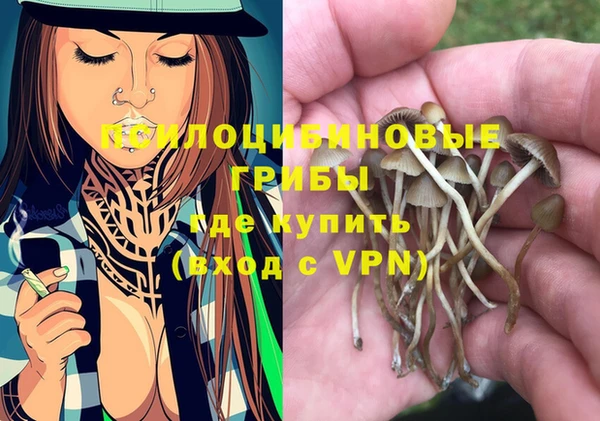 молекула духа Алексеевка