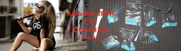 крисы Алзамай